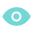 Privacy eye icon